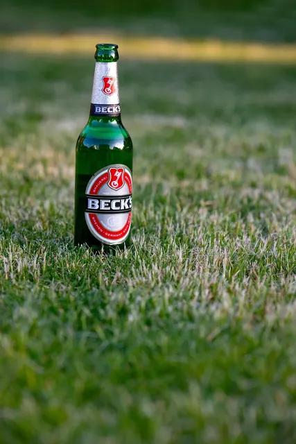 24 x 330mL Bottles - Hong Kong Beer Mixed Case