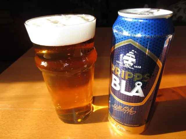 ANOTHER ONE 330ML CAN
