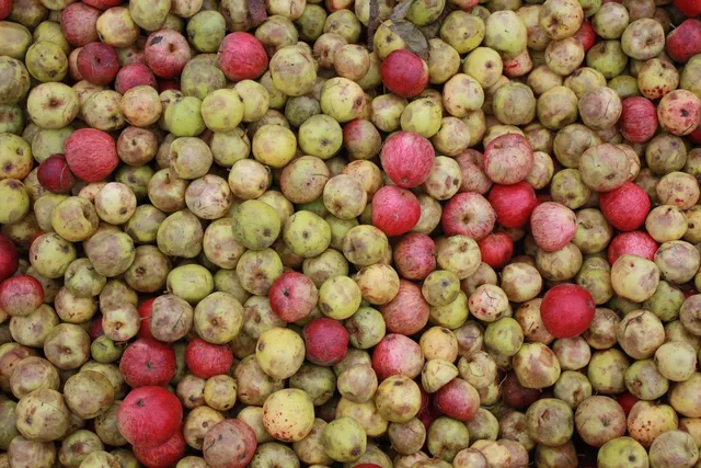 NEONOTIC! APPLE AUNTIE CIDER