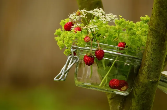 Glass Mason Jar